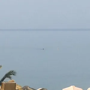 Apartment Seaside