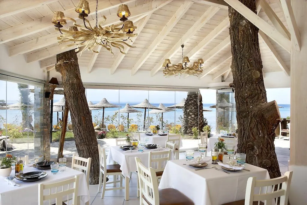 Anthemus Sea Beach Hotel And Spa Elia Nikitis Resort